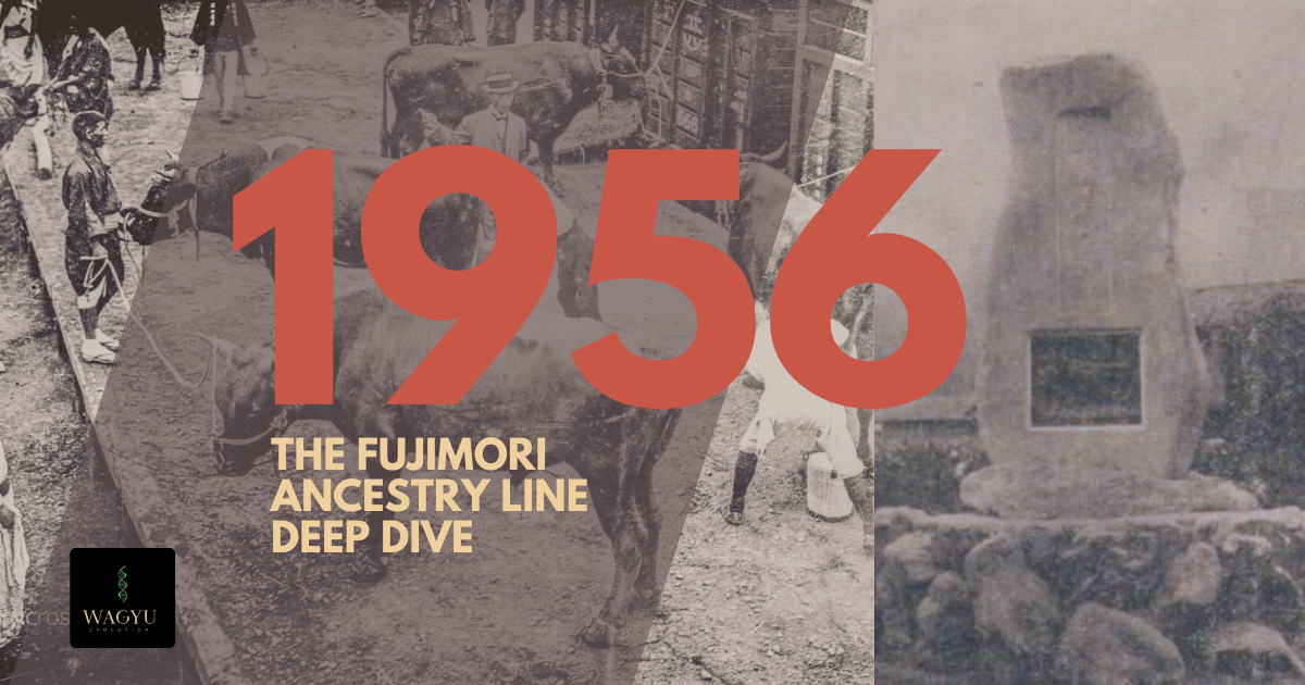 Fujimori Line Deep Dive