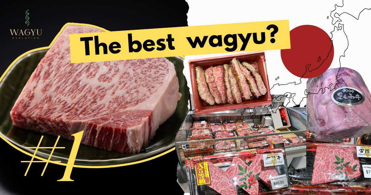 The Best Wagyu Brand In Japan