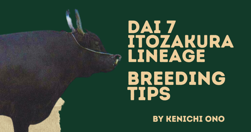 Breeding Tips for the Dai 7 Itozakura