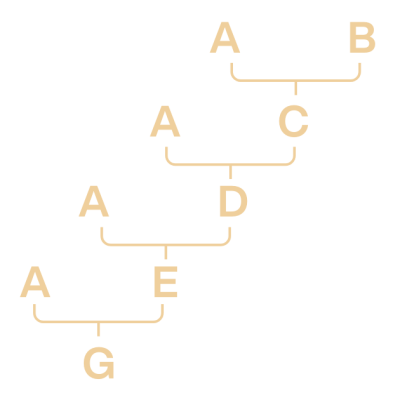 Intense Linebreeding (Edit)