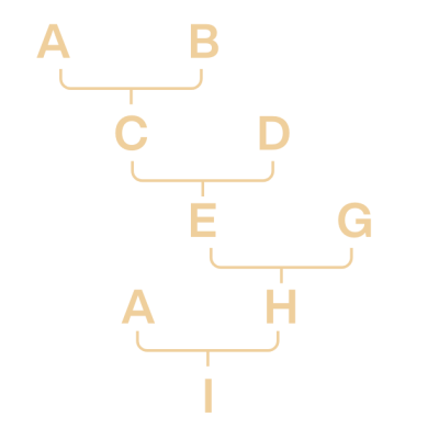 Mild Linebreeding (Edit)